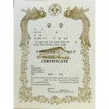 604 Rank Certificate, Taekwondo